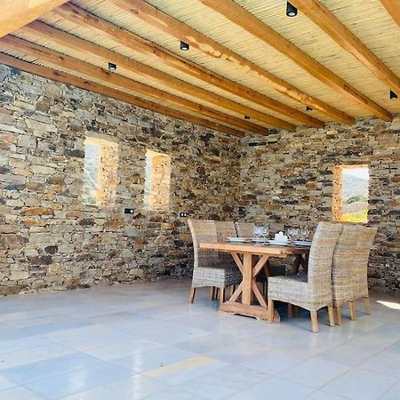 Artemis Sky Villa Antiparos Exterior photo